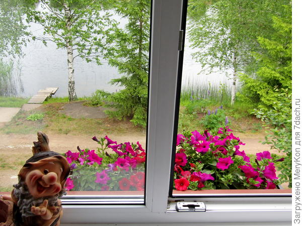 Вид из комнаты