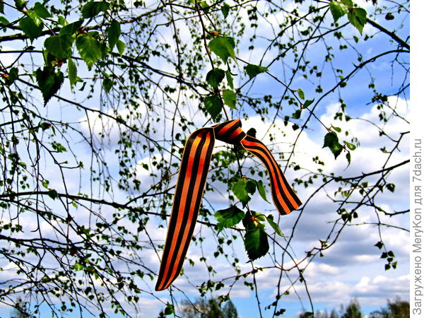 Дачное мирное небо.