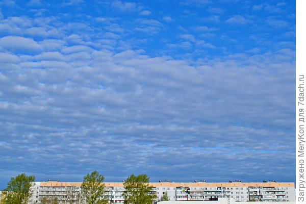 В семь утра мирное небо надо мной выглядело так.