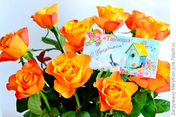 Цветущего сада и яркого солнечного  лета!!!!