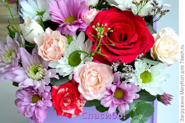 Тебе букетик!