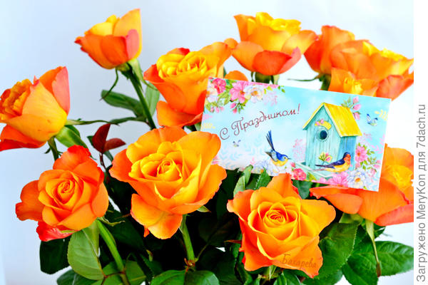 Любительница флоры и фауны, Софи, букет в твою честь!!!