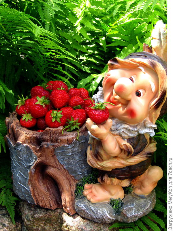 Всем клубники в честь победы.)