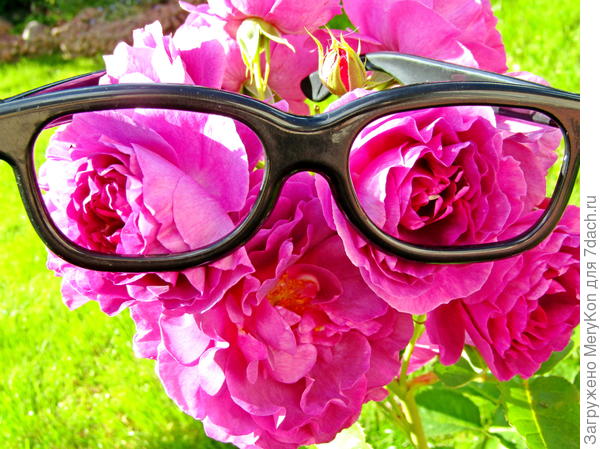 Мариш, это для тебя! Смотрю в оба глаза с восхищением!)