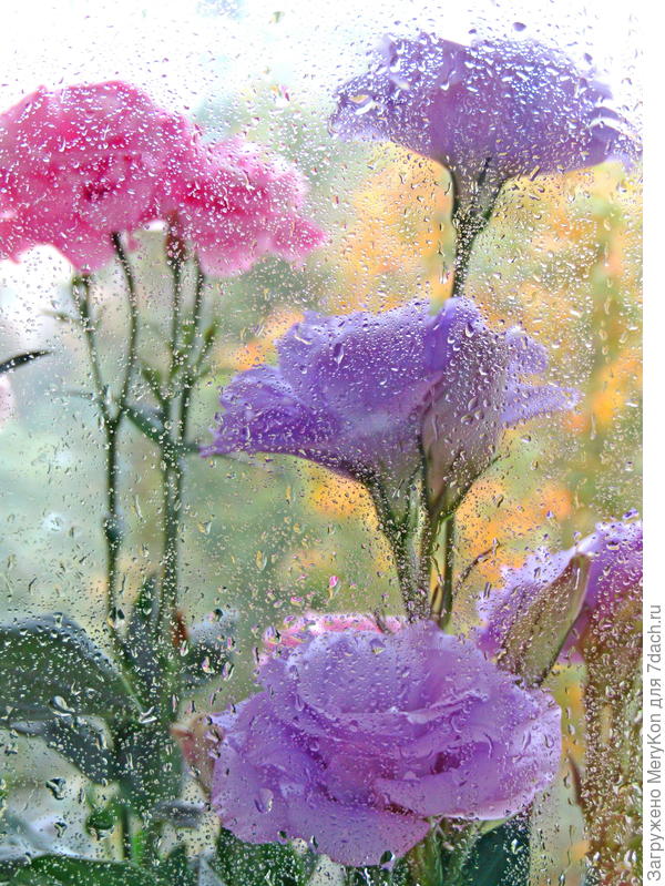 Сегодня утром.