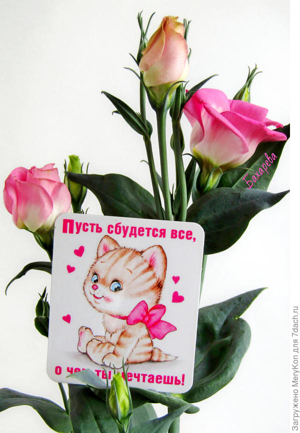 Эустома цветет в честь твоего Юбилея!)