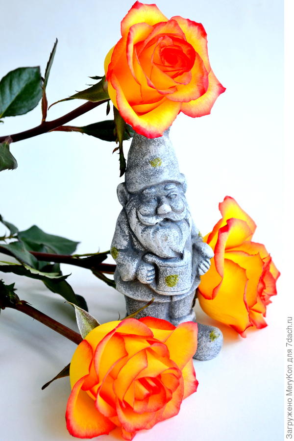 Из серии &quot; Я садовником родился&quot; - это про вас.)