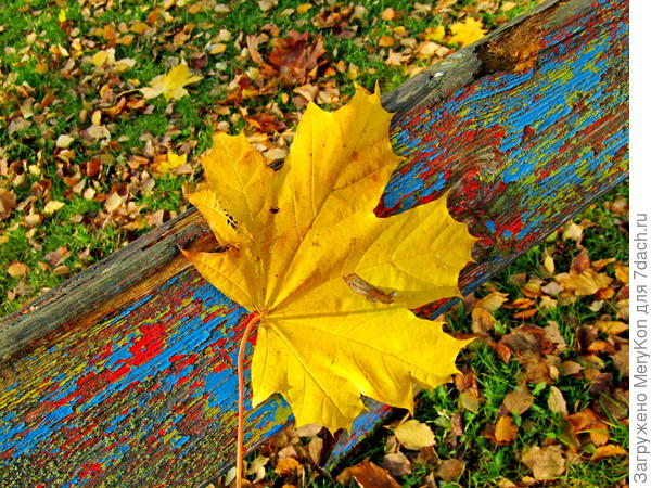 Листочек от себя прикладываю:)