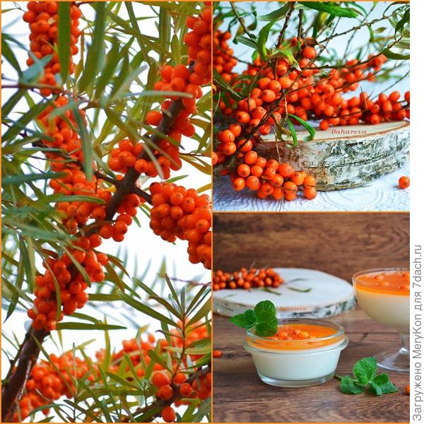 Сливочный десерт с облепихой.