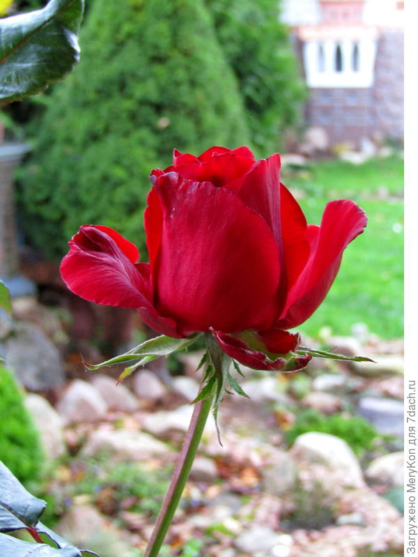 Привет, ноябрь!)