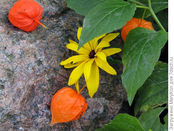 Остатки прежней красоты.