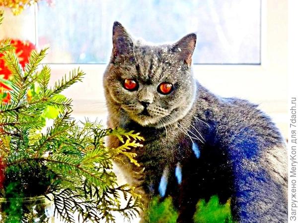 Мы с Бусей гордимся вами!