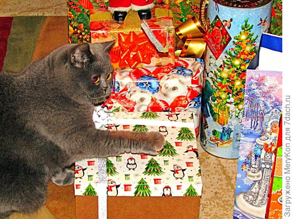 Не трогать! Всё на Новый год!:)