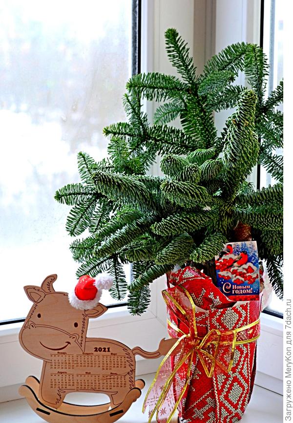 Пусть у всех сбудется все самое важное а наступившем году!!!