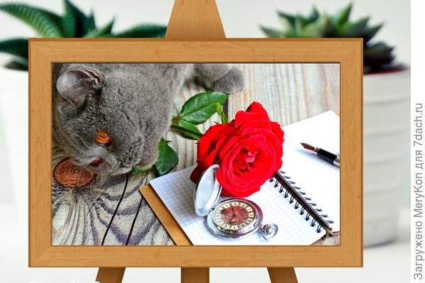 От нас с Бусей!