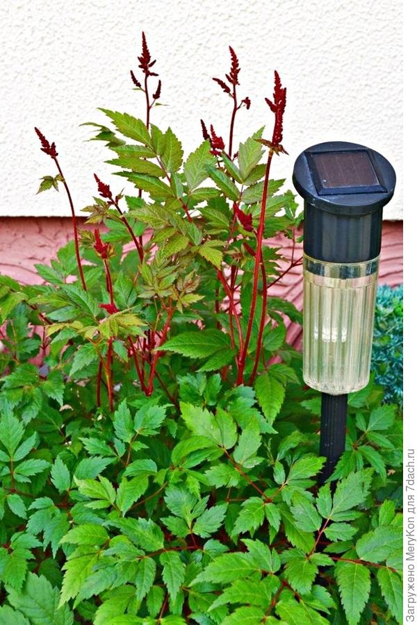 Такие на замену идут в этом сезоне, выработали свой ресурс.