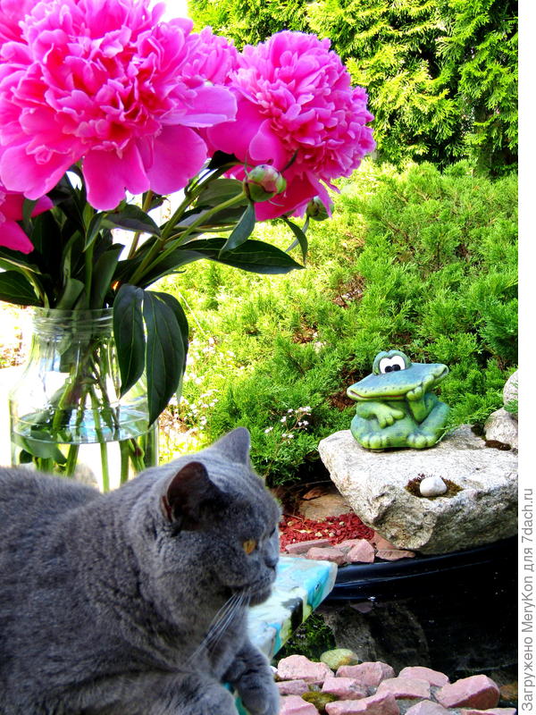 От нас с Бусей!!!