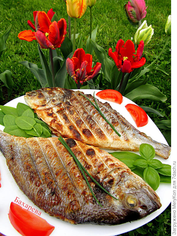 Немного рыбки в честь праздника:)