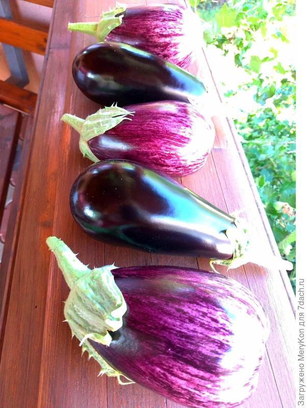 Красавчики.