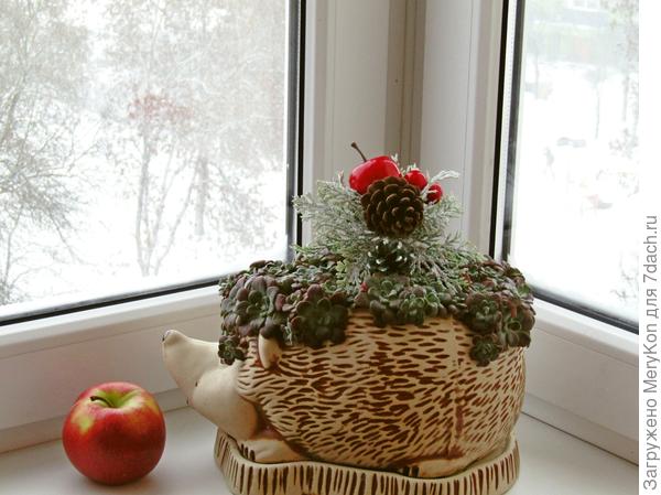 А дома хорошо, и не скользко и речь культурная ( поправилась):)