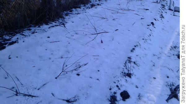 Снежок на даче
