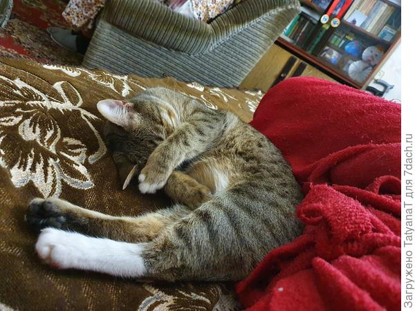 Успею еще выспаться...