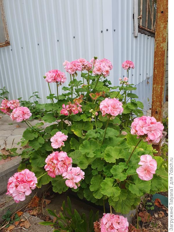 Конец сентября