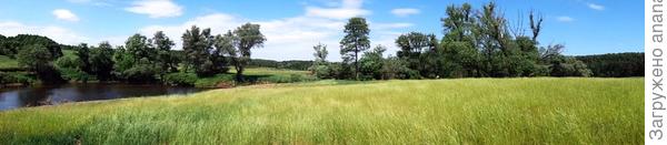 Тульская область. Начало июня.