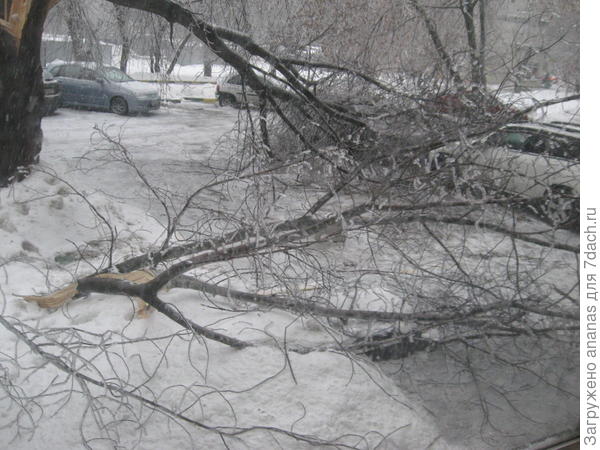 ледяной дождь