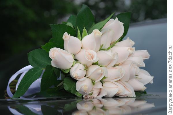 Букет для Светланы