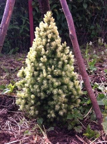 Наша малышка))