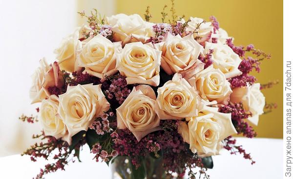 С Днем Рождения!