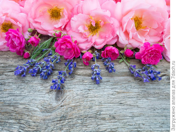 С Днем Рождения!