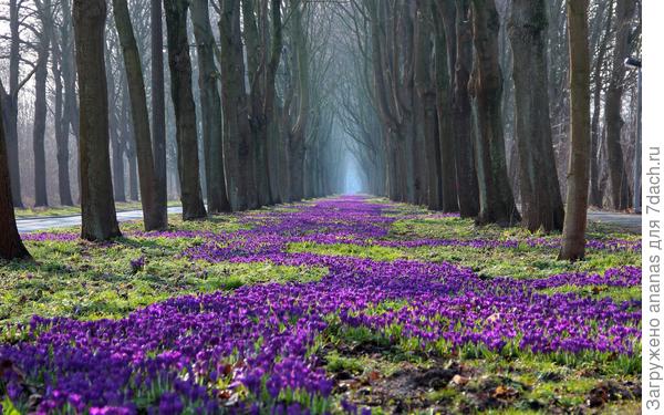 Весеннего настроения и солнышка в душе!