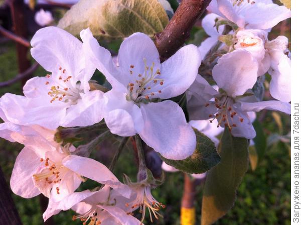 Самые наилучшие пожелания!