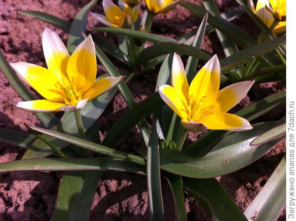 С Днем Рождения!