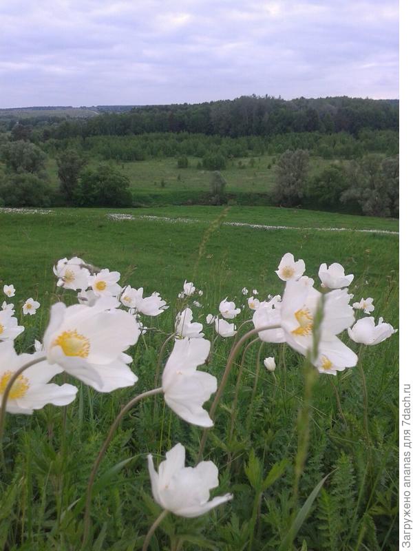 С Днем Рождения!