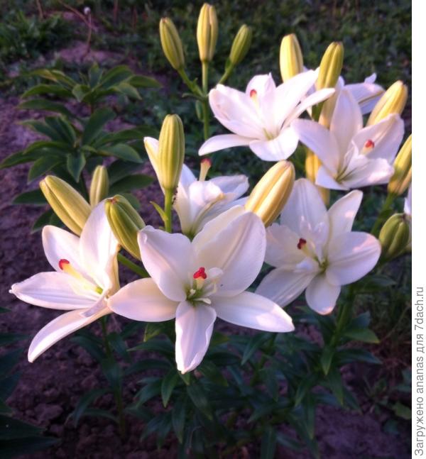 Самые наилучшие пожелания тебе и твоим близким