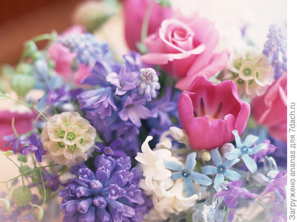 С Днем Рождения!