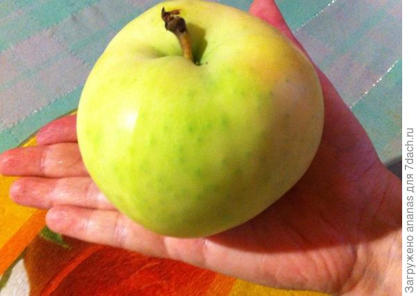 Хорошего урожая в этом сезоне!