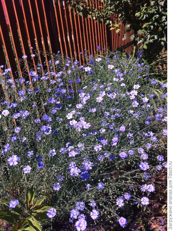 С Днем Рождения!