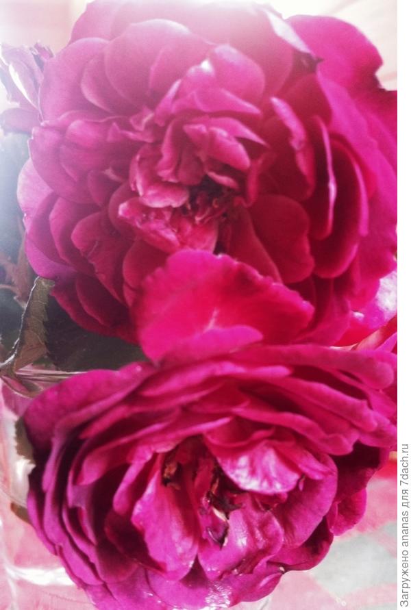 С Днем Рождения!