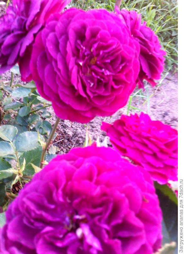 Поздравляю!