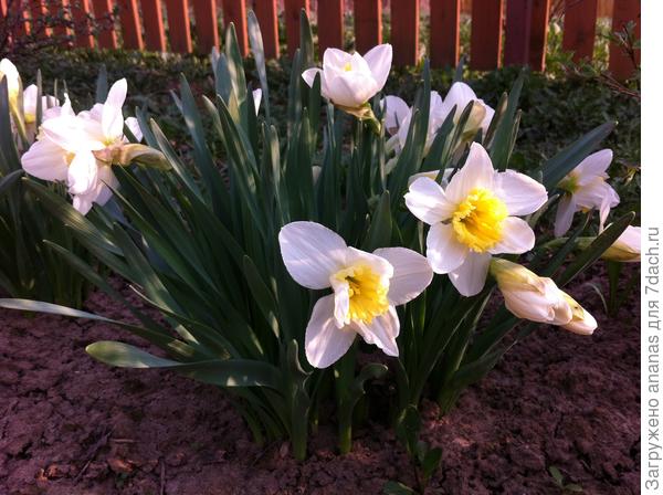 С праздником! Любви и солнечного настроения!