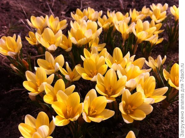 С Днем Рождения!