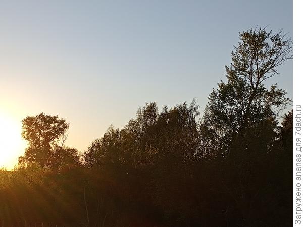 Теплый вечер