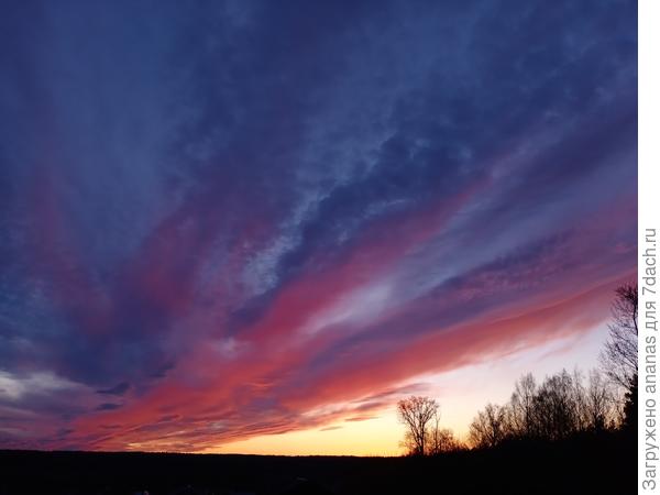 Такое разное и необыкновенное...