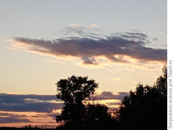 &quot;Крокодил &quot; плывет по небу))