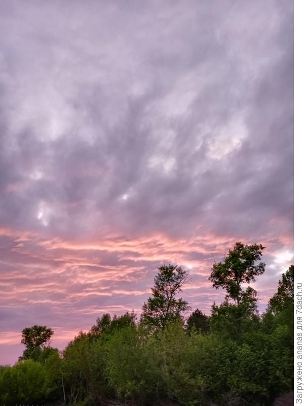 Вечер, 28 мая