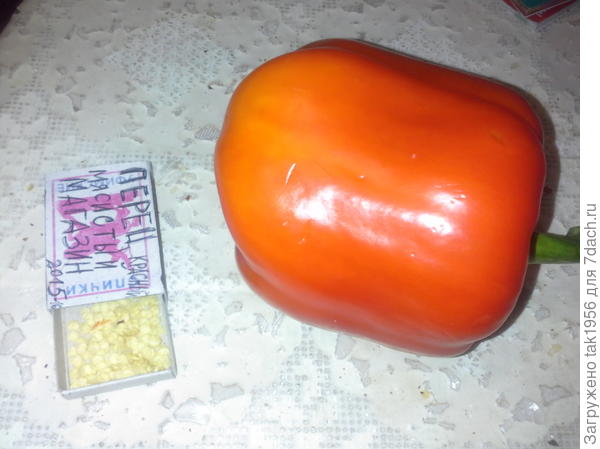 семена перца